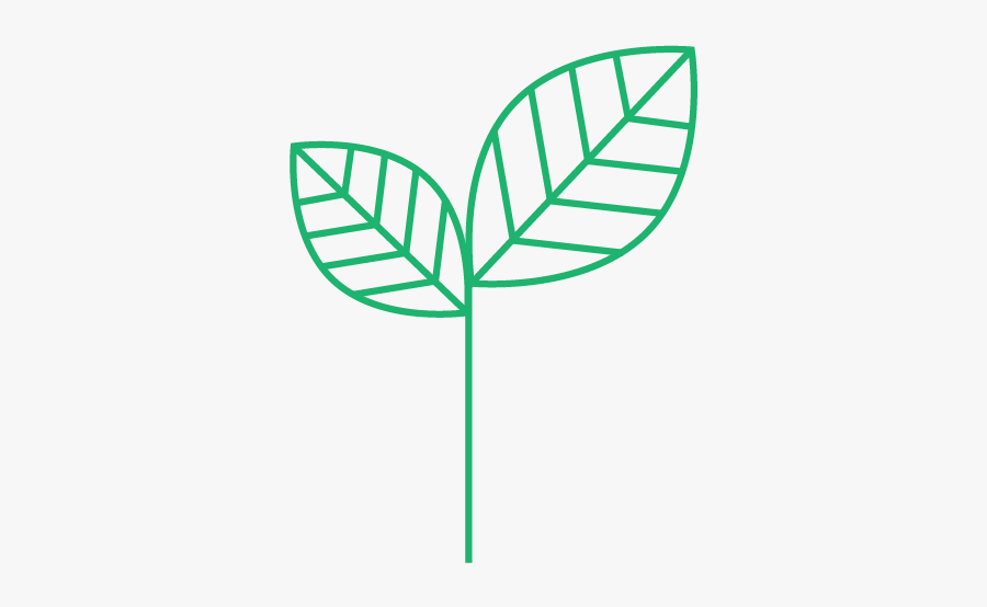 Easy Radial Symmetry Art, Transparent Clipart