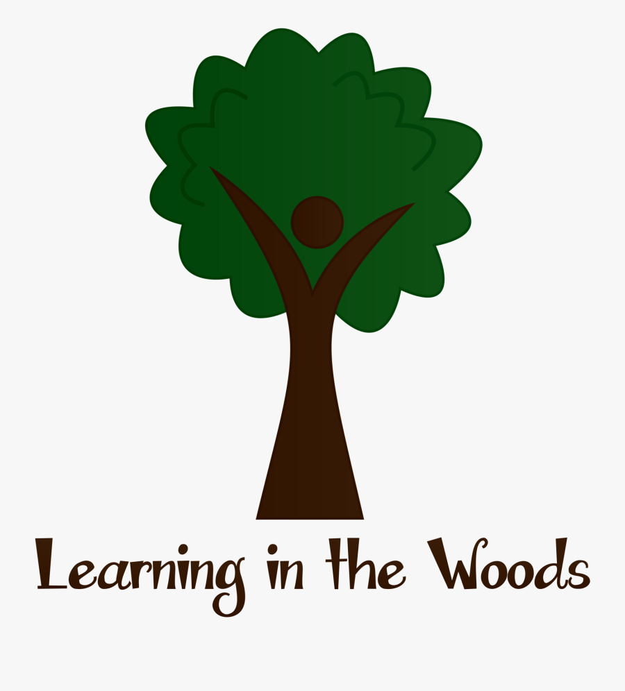Learning In The Woods - Tree, Transparent Clipart