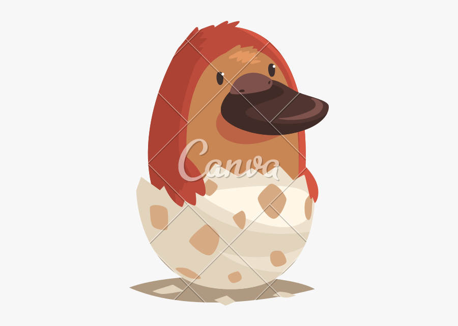 Clip Art Newborn Platypus - Animals Hatched From Egg, Transparent Clipart