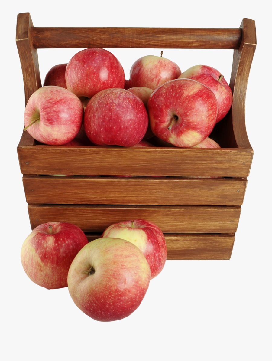 Basket With Apple Png, Transparent Clipart