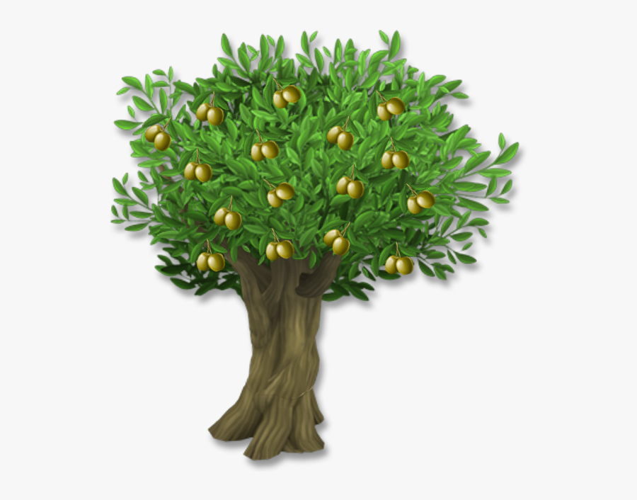 Olive Leaf Tree Clip Art - Arbol De Cacao Png, Transparent Clipart