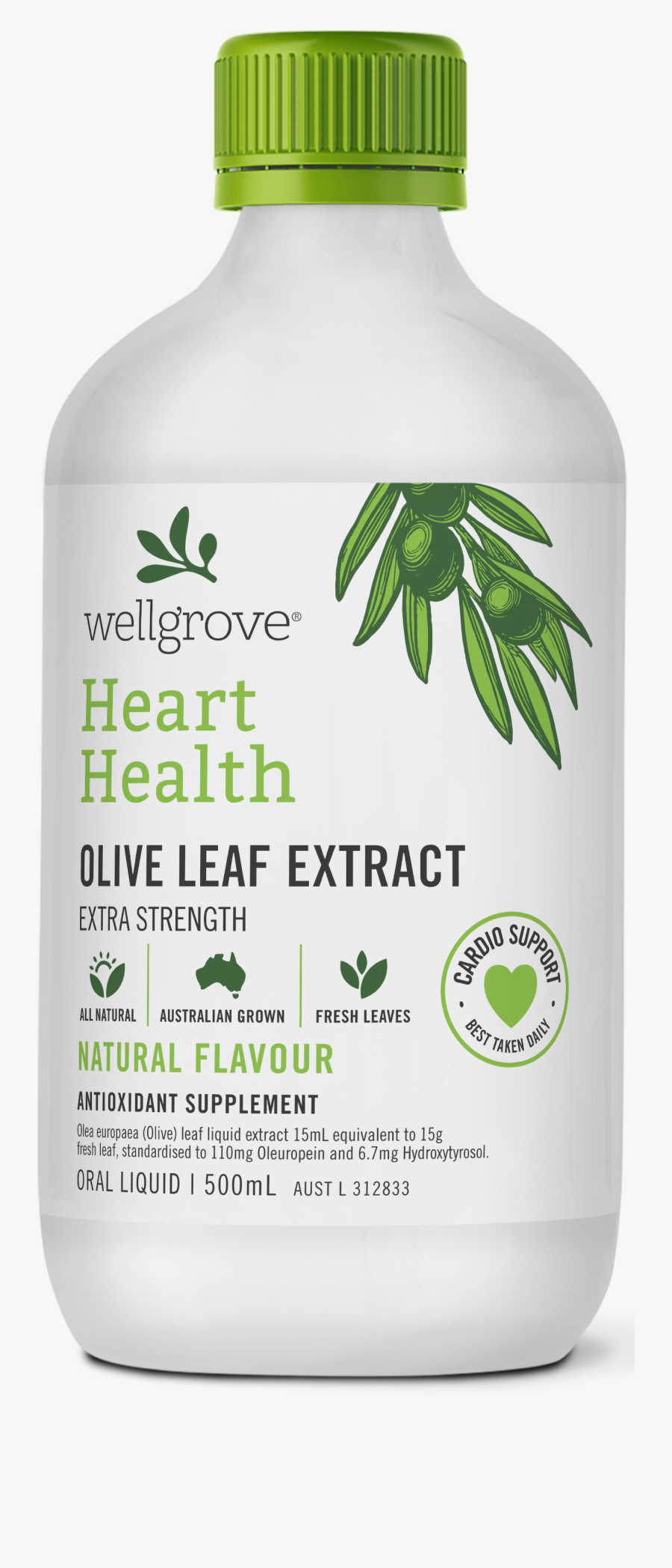 Transparent Olive Leaf Png - Olive Leaf For Immune, Transparent Clipart