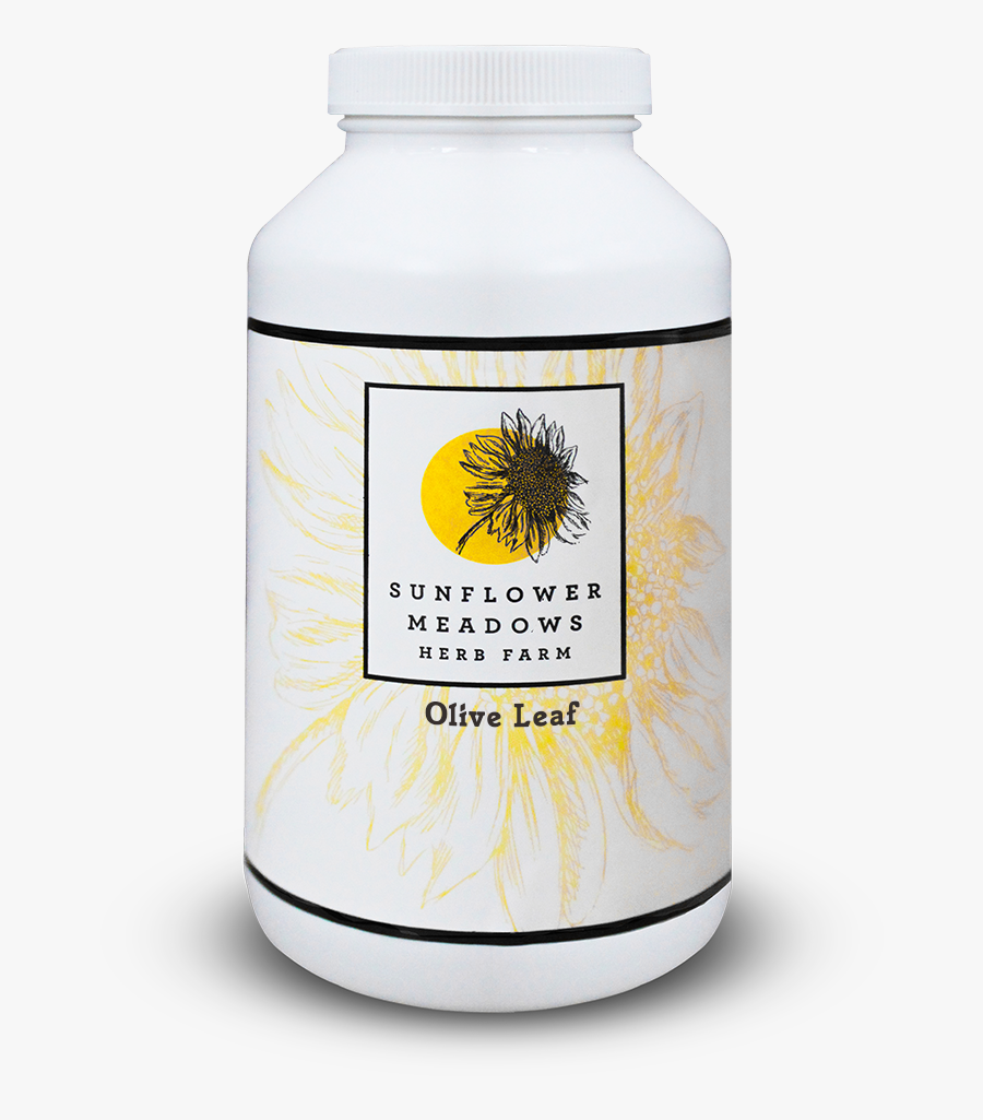 Transparent Olive Leaf Png - Camomile, Transparent Clipart