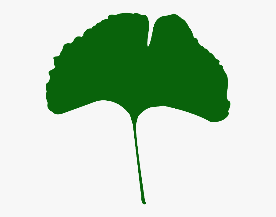 Free Vector Ginkgo Leaf, Transparent Clipart