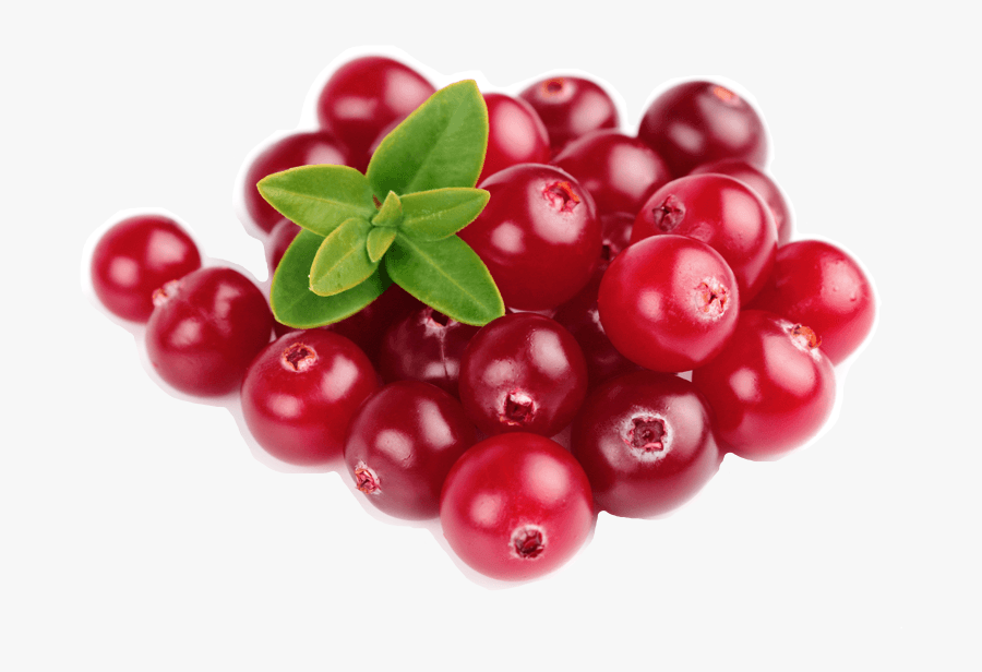 Cranberries Png Page - Cranberries Png, Transparent Clipart