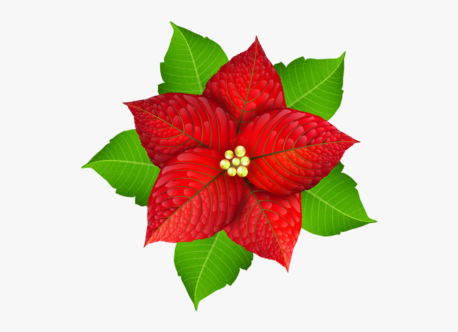 Gallery Free Pictures - Poinsettia Christmas Leaf, Transparent Clipart