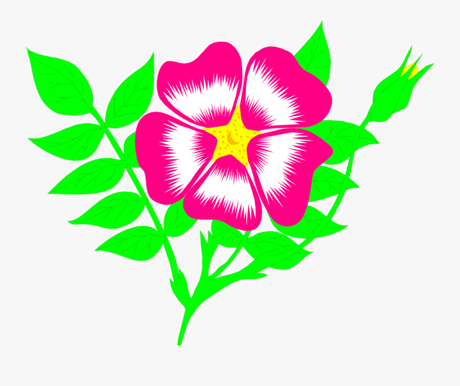 Poinsettia Clipart Small Plant - Animated Flower Clipart, Transparent Clipart