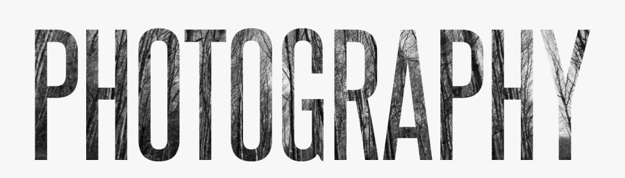 Clip Art Basic Portraiture Studio - Monochrome, Transparent Clipart