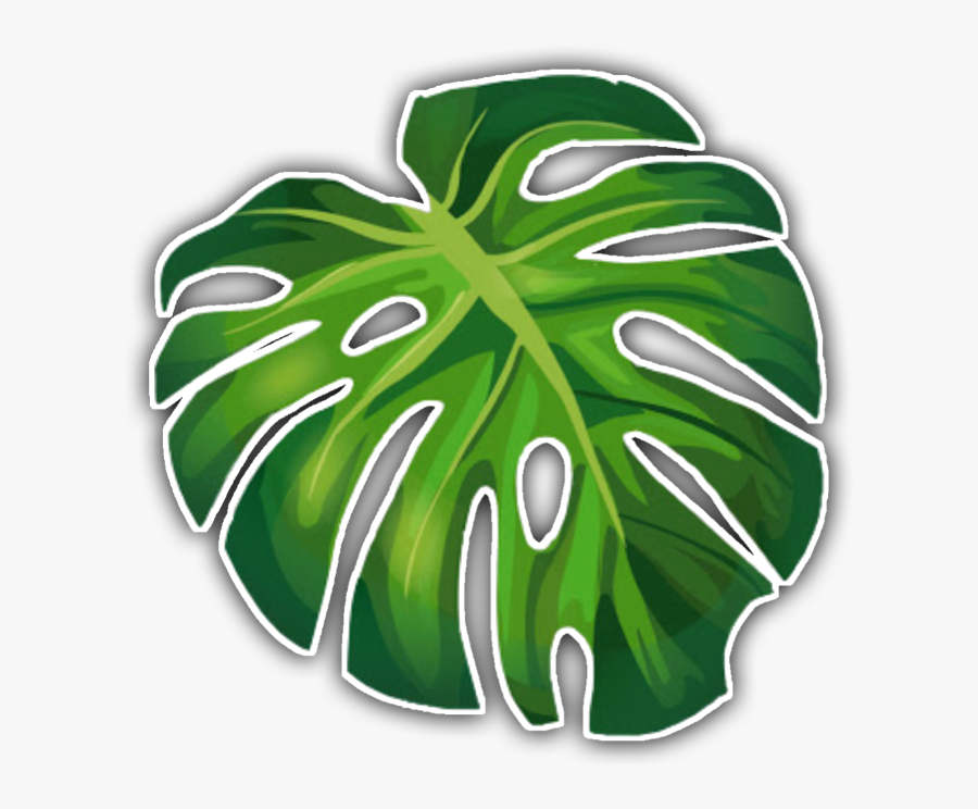 #aesthetic #tropical #sticker #freetouse #leaf #green - Green Aesthetic Sticker, Transparent Clipart