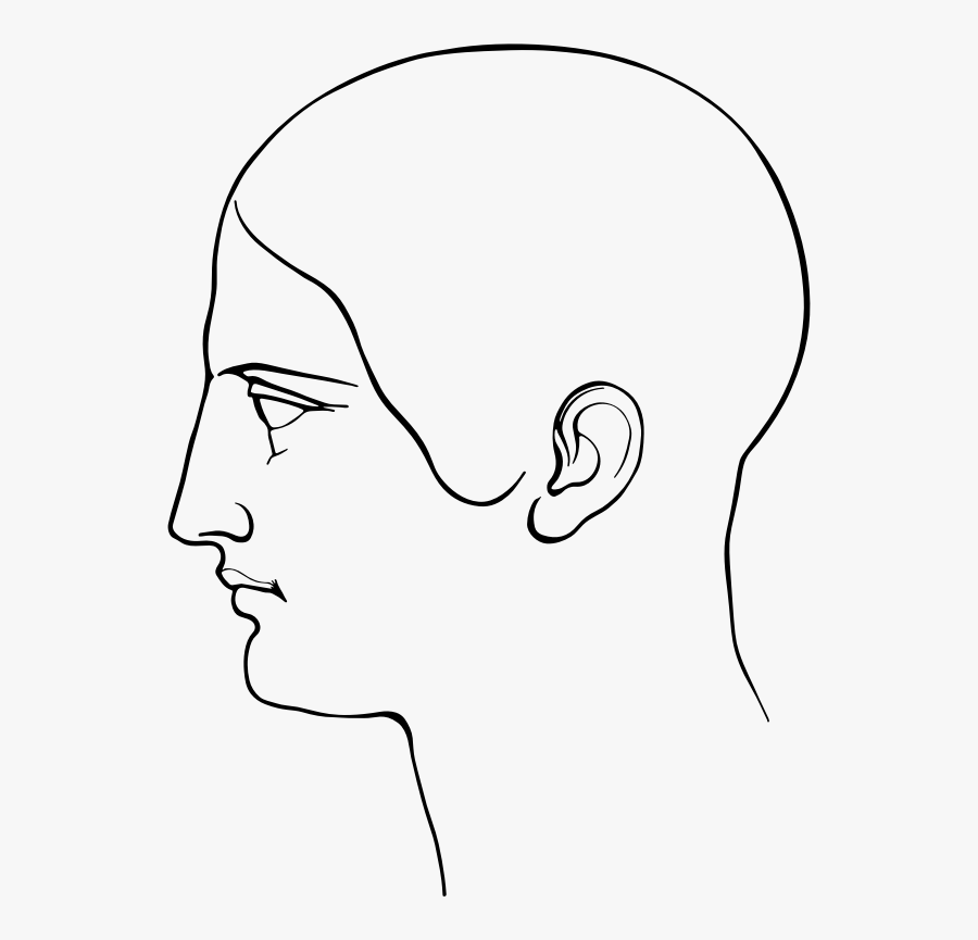 Line Art, Transparent Clipart