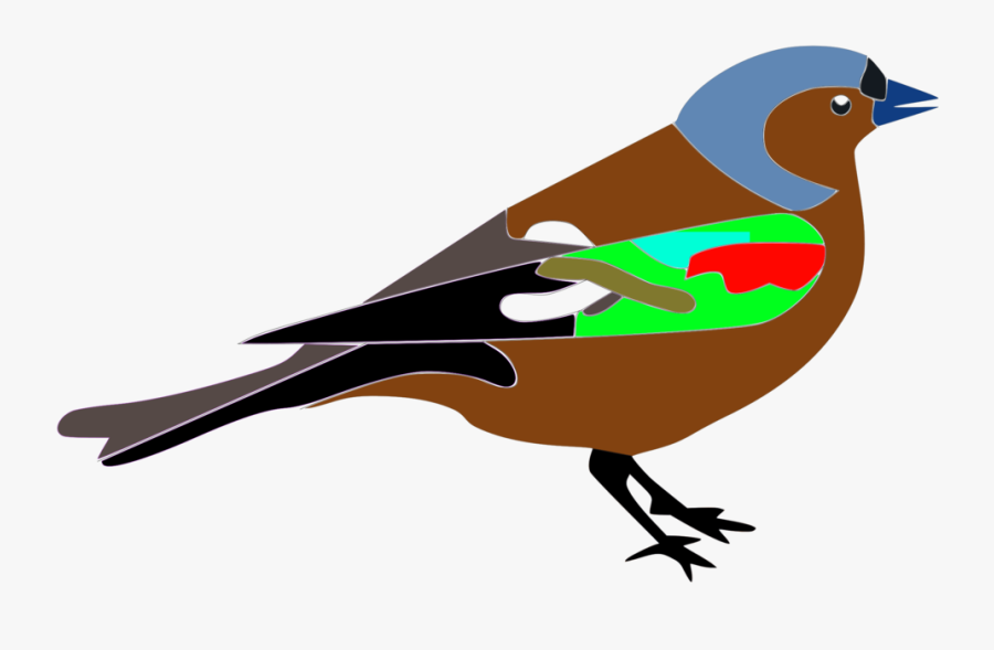 Perching Bird,wing,bird - Finch, Transparent Clipart