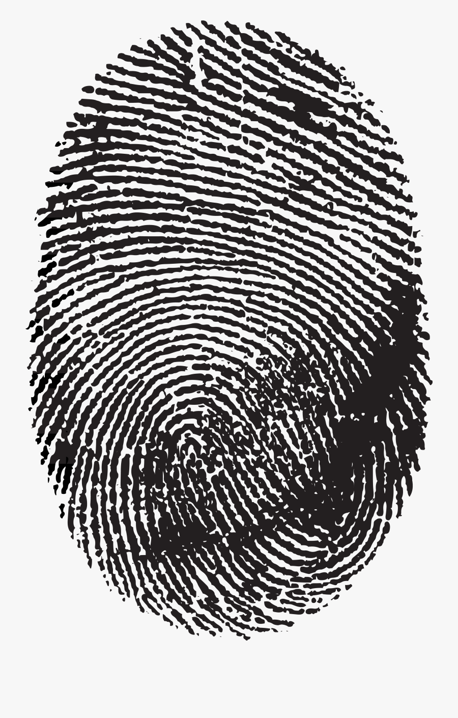 Fingerprint Image Scanner Clip Art - Transparent Background Finger Print Png, Transparent Clipart
