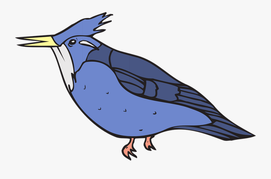 Blue, Bird, Wings, Feathers, Kingfisher - Blue Kingfisher Clipart, Transparent Clipart