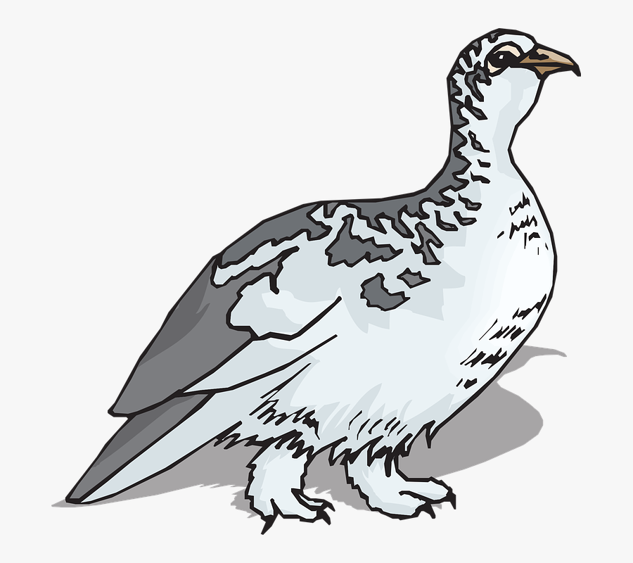 Clip Art, Transparent Clipart