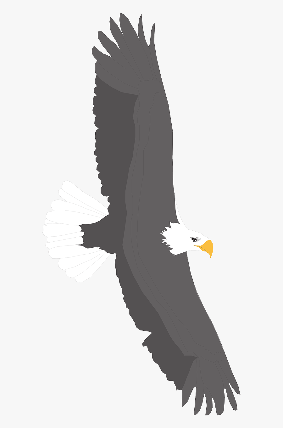 Eagle, Transparent Clipart