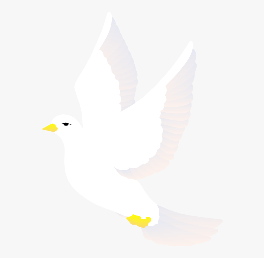 Free Vector Bird - White Bird Vector Png, Transparent Clipart