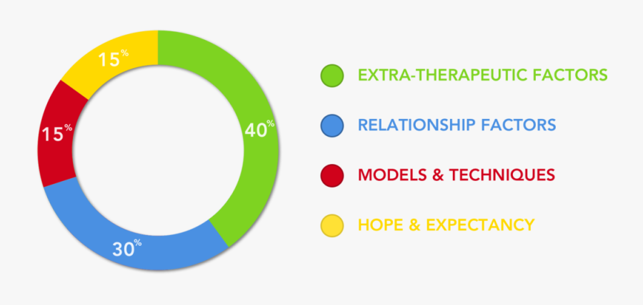 Mental Illness Recovery Factors - Circle, Transparent Clipart