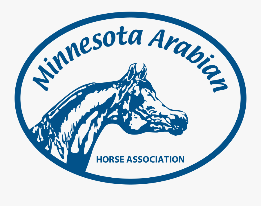 Minnesota Arabian Horse Association - Horse, Transparent Clipart