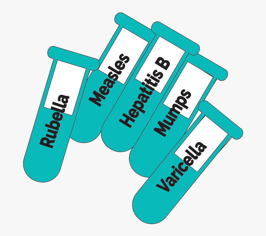 School Igg Immunity Package Of 5, Transparent Clipart