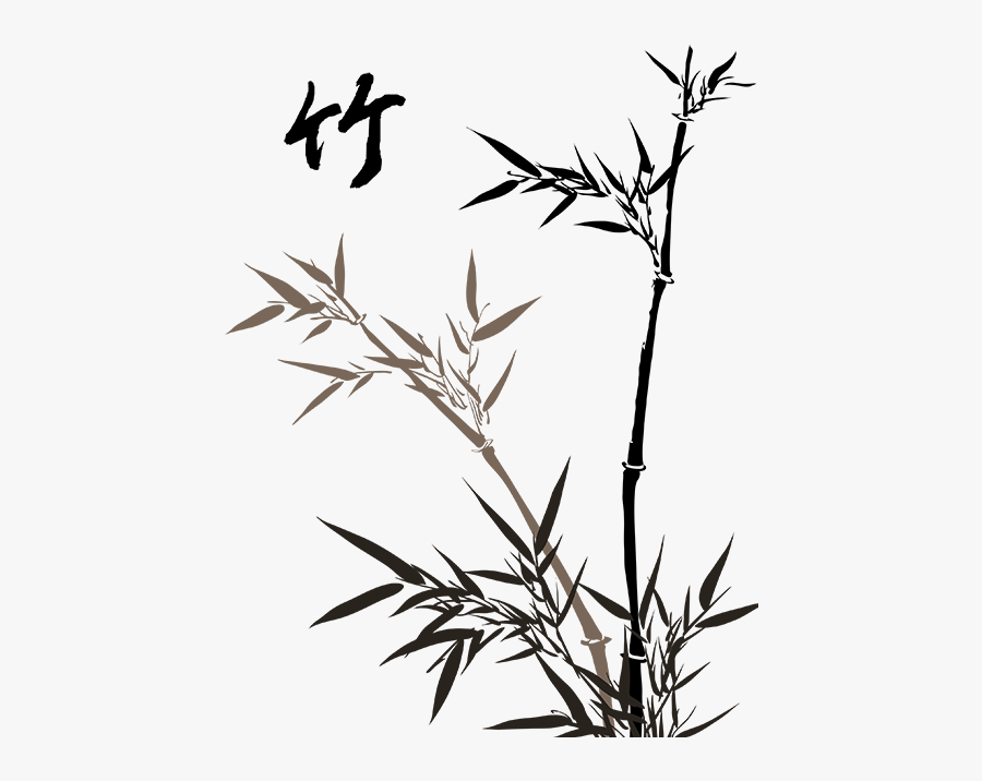 Bamboo Drawing Free Download - Bamboo Drawing Png, Transparent Clipart