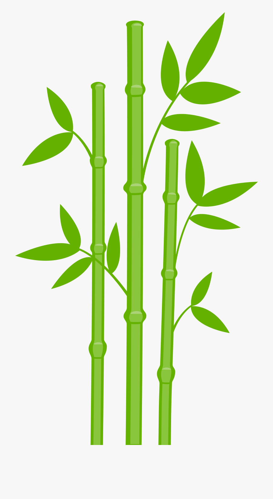 Bamboo Transparent, Transparent Clipart