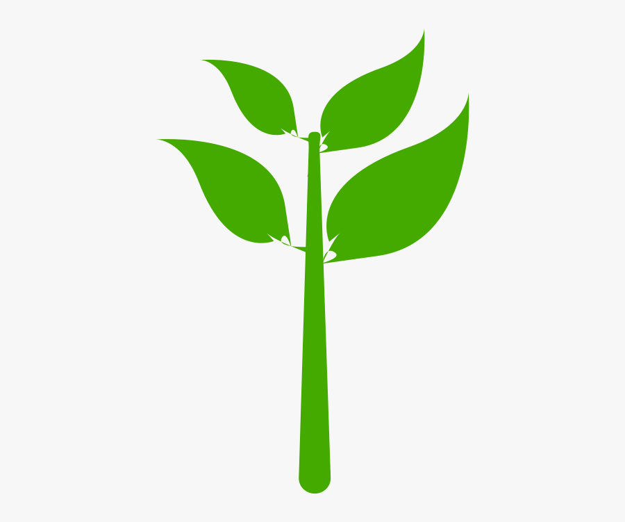 Plant, Transparent Clipart