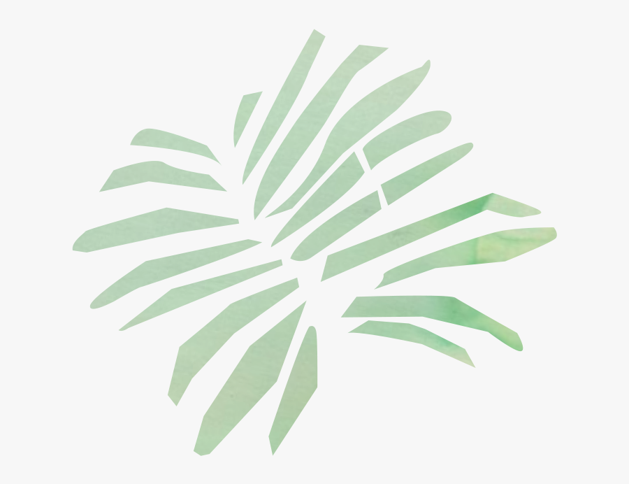 Palm Tree, Transparent Clipart