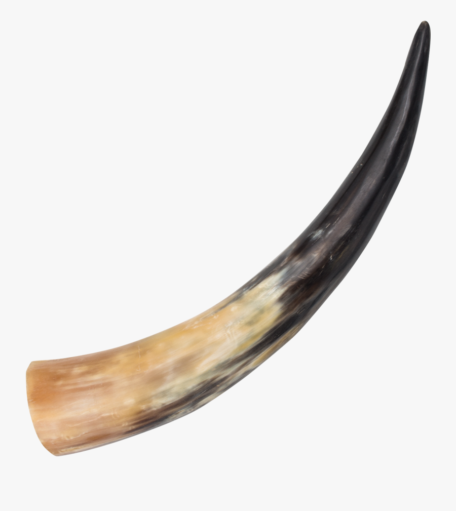 Medieval Animal Drinking Real - Cow Horn Png, Transparent Clipart