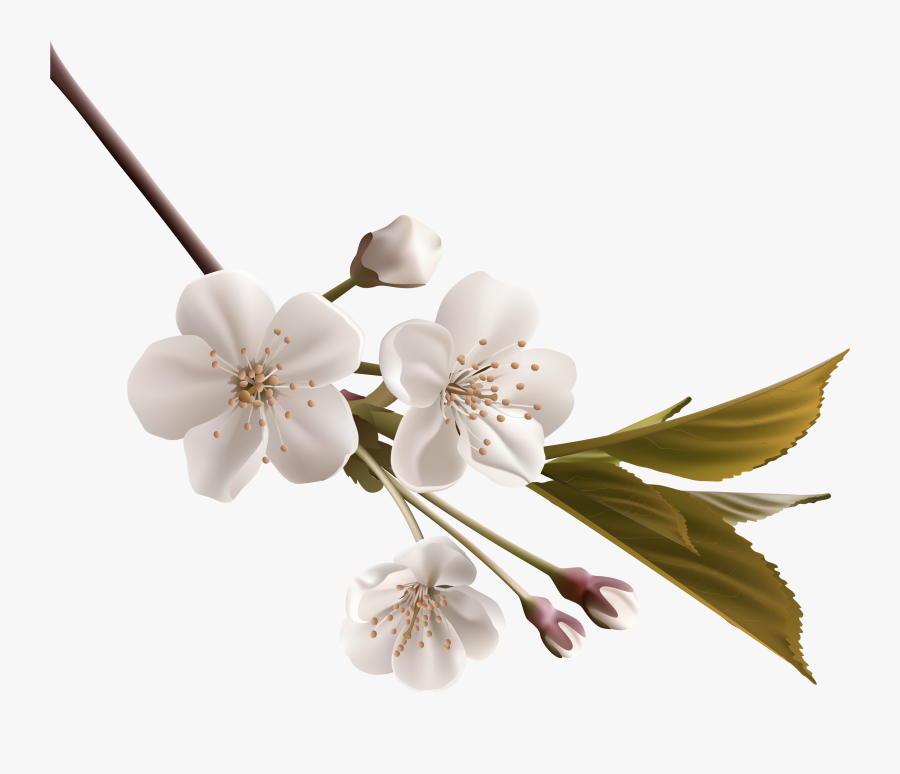 Tree Branch Png Clipart - Deepest Condolences To The Family, Transparent Clipart