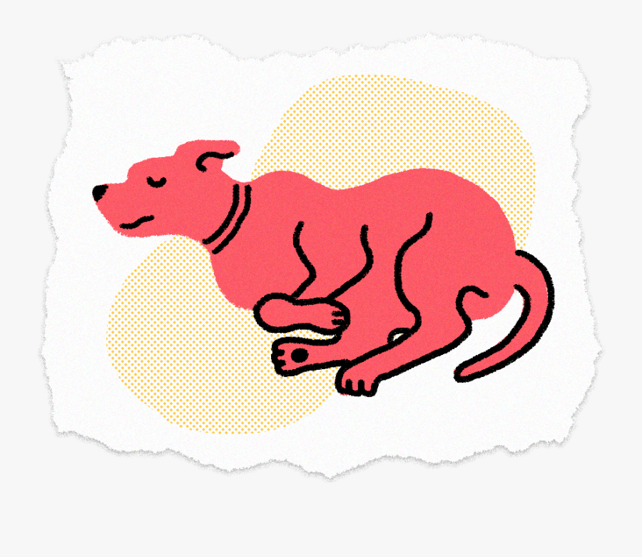 Sleeping Dog2 - Illustration - Illustration, Transparent Clipart