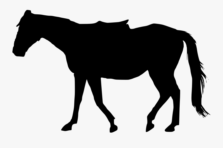 5 Horse Silhouette - Horse Silhouette Transparent Background, Transparent Clipart