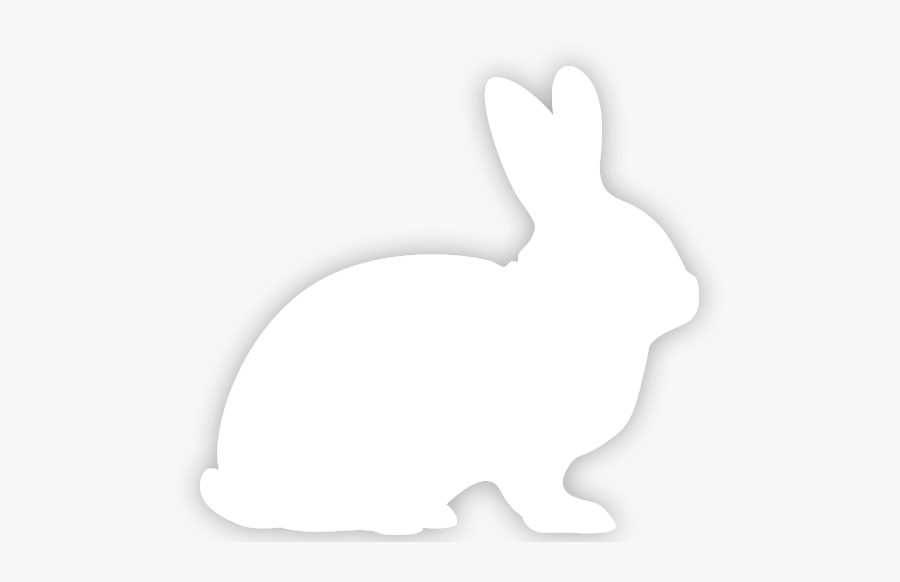 Pet Obesity - White Rabbit Silhouette Transparent, Transparent Clipart