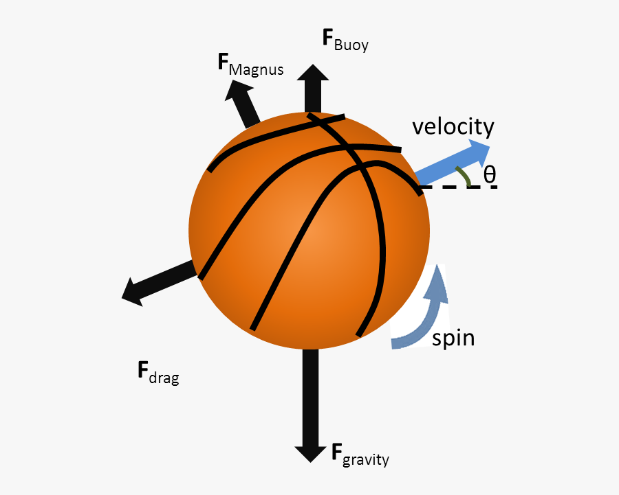 Spin Drawing Basketball - Physics And Basketball, Transparent Clipart