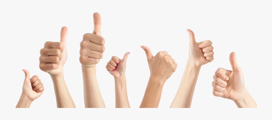 Transparent Grabbing Hand Png - Thumb, Transparent Clipart