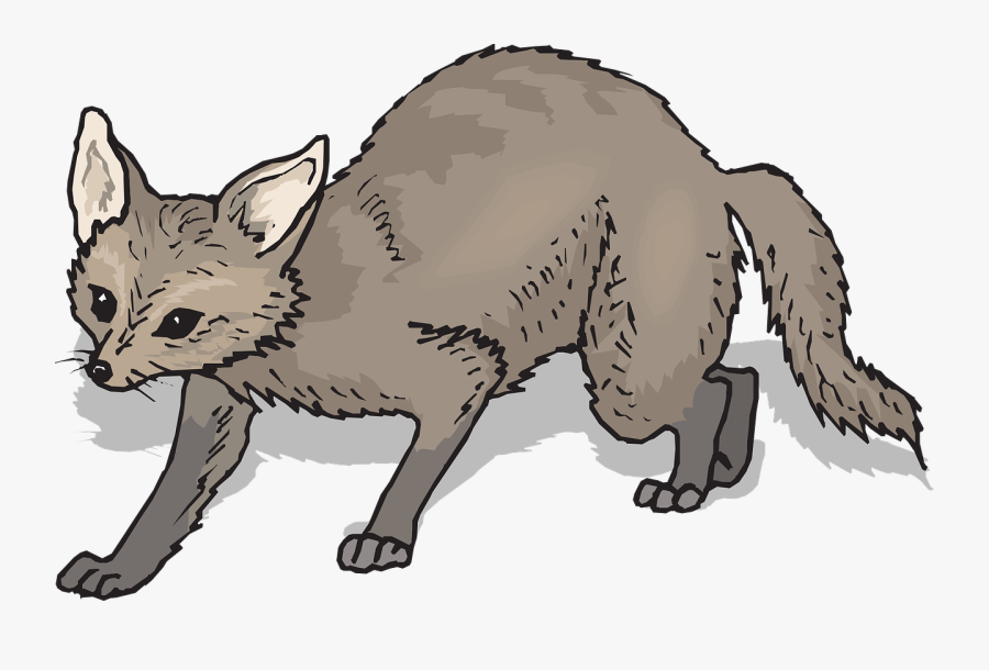 จิ้งจอก การ์ตูน แบบ ขาว ดำ, Transparent Clipart