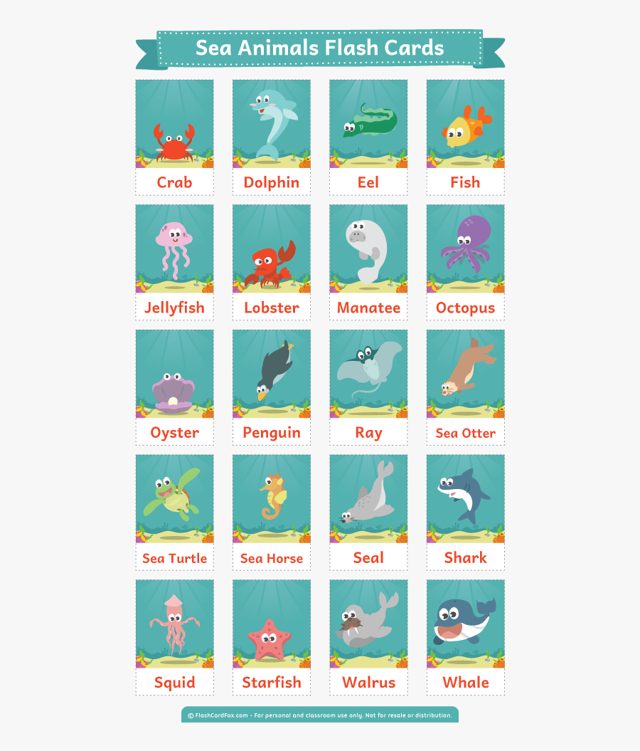Transparent Sea Animals Png - Sea Animals Flashcards Printable, Transparent Clipart
