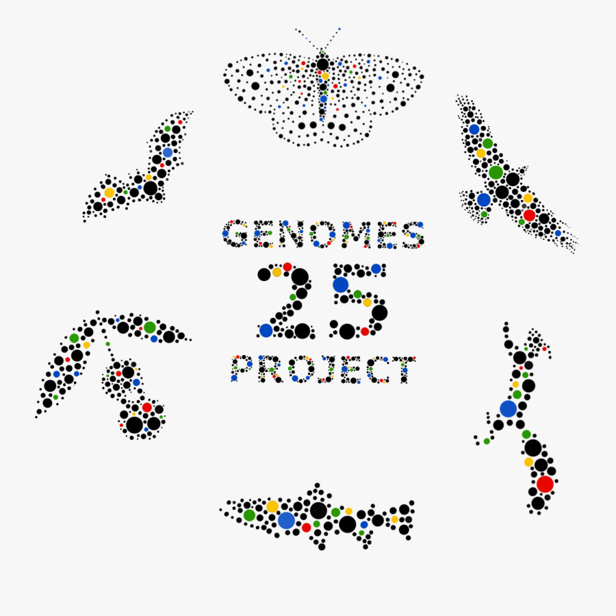Robin Clipart Wildlife British - Genome, Transparent Clipart