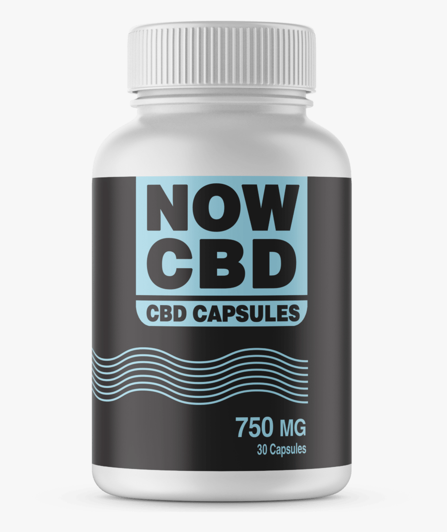 Fish, Transparent Clipart