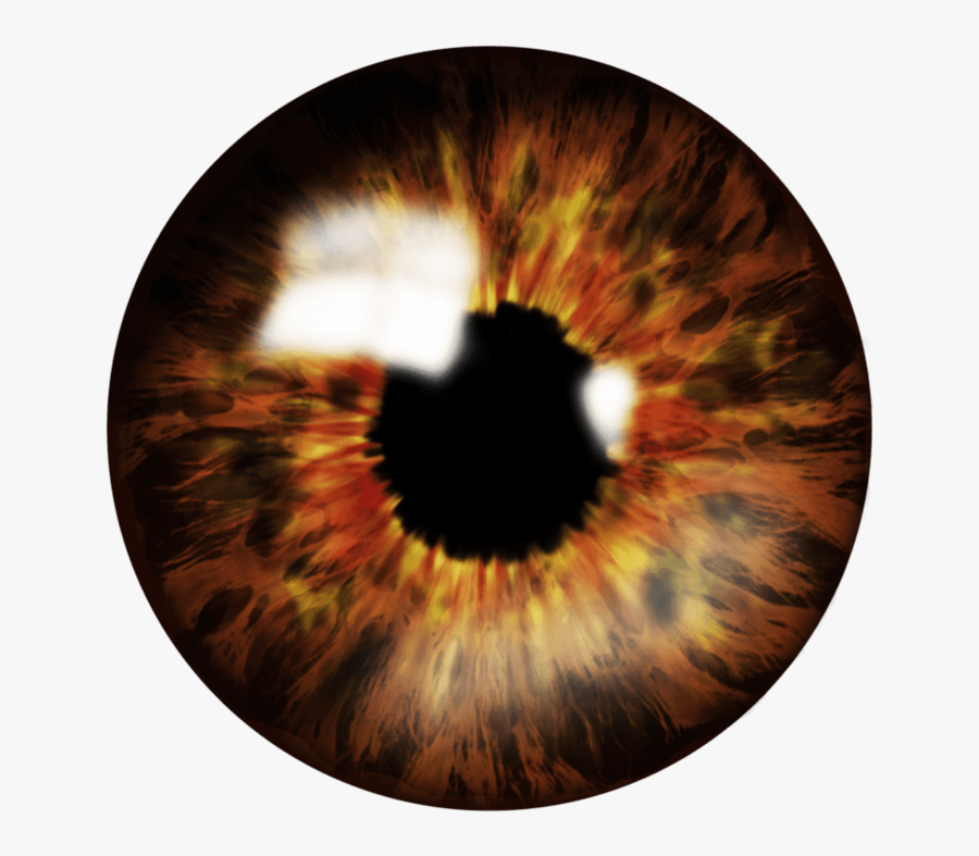 Eye Lens Png, Transparent Clipart