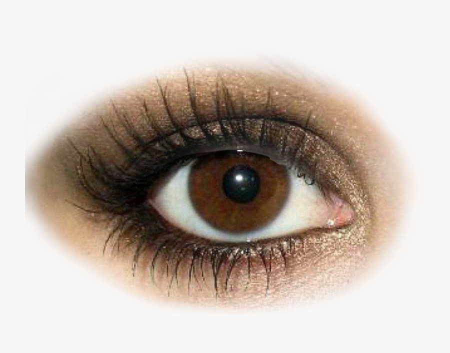 #eye #eyes #browneyes #browneye - Eye Shadow, Transparent Clipart