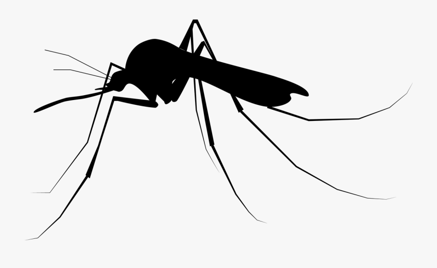 Mosquito Icon, Transparent Clipart