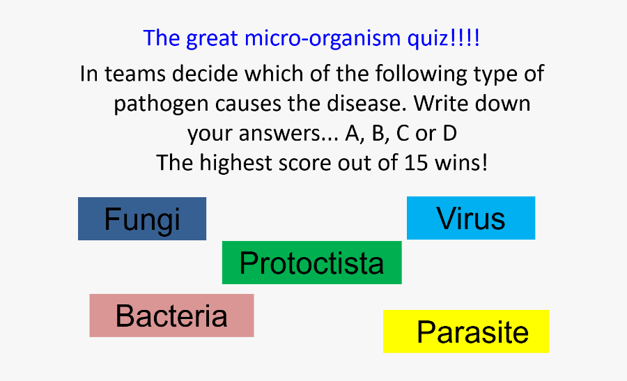 Screenshot, Transparent Clipart