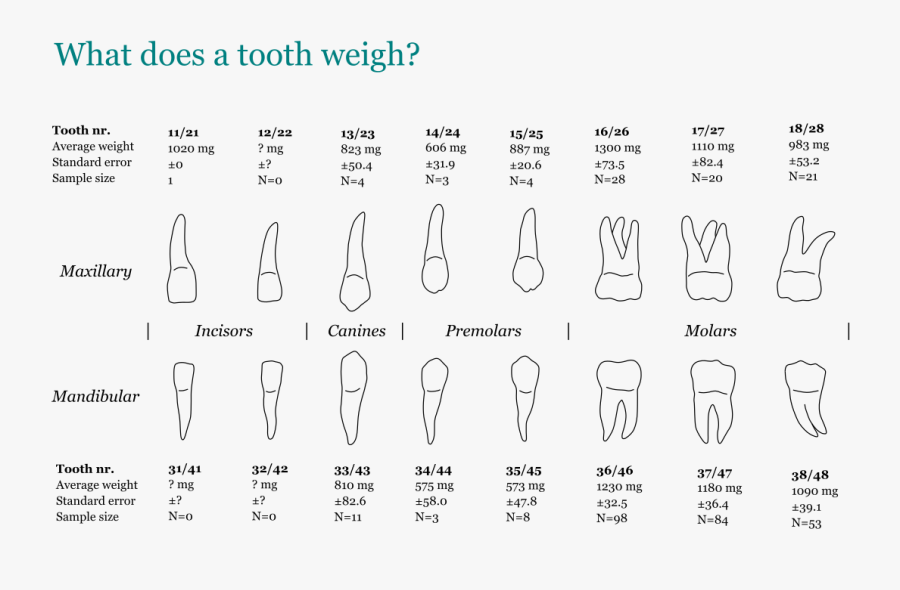 Clip Art Archaeologists Warinner Group How - Wilady, Transparent Clipart