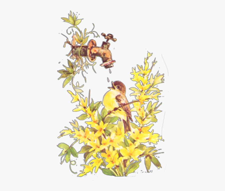 Freetoedit Ftestickers Flowers Bird Waterspout - Evening Grosbeak, Transparent Clipart