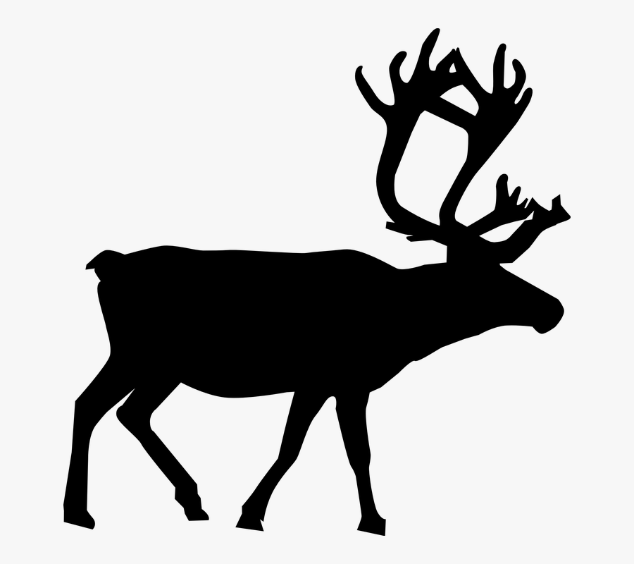 Reindeer Vector, Transparent Clipart