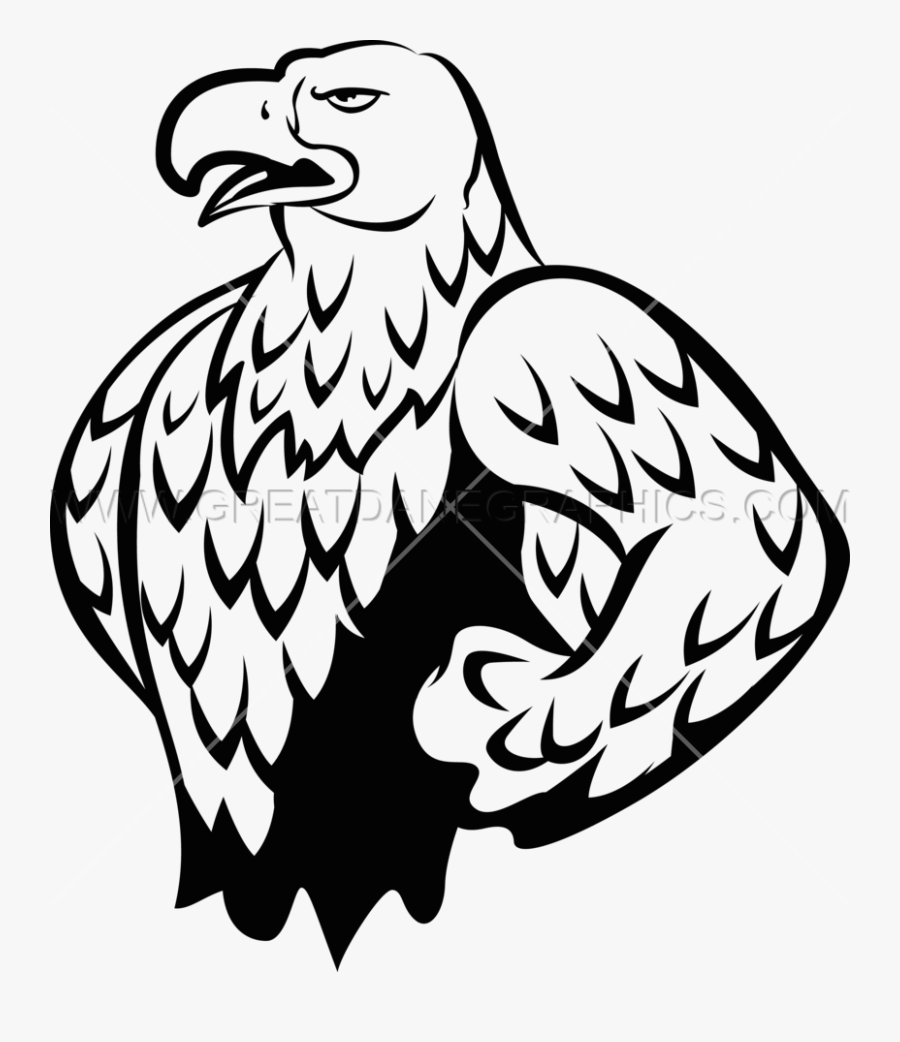 Cartoon Eagle Images - Bald Eagle, Transparent Clipart