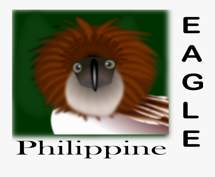 Philippine Eagle Clipart - Philippine Eagle Cartoon, Transparent Clipart