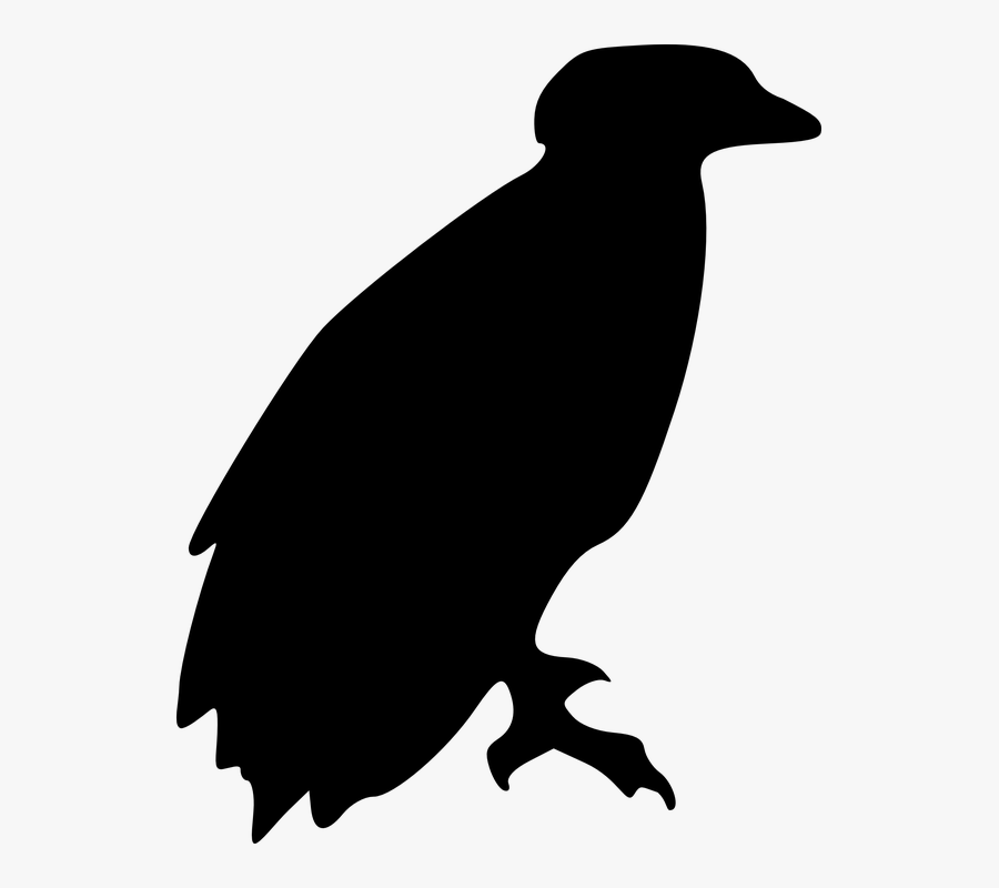 Eagle, Bird, Animal, Perching, Silhouette - Silhouette, Transparent Clipart