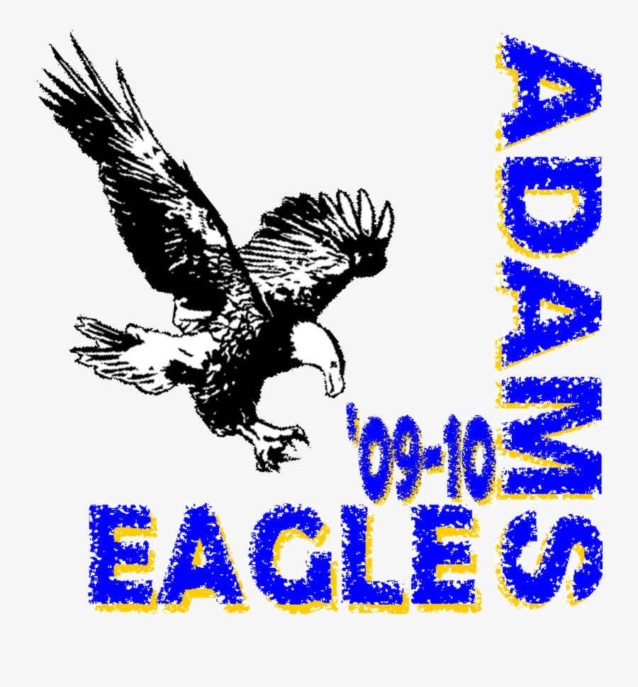 Golden Eagle, Transparent Clipart