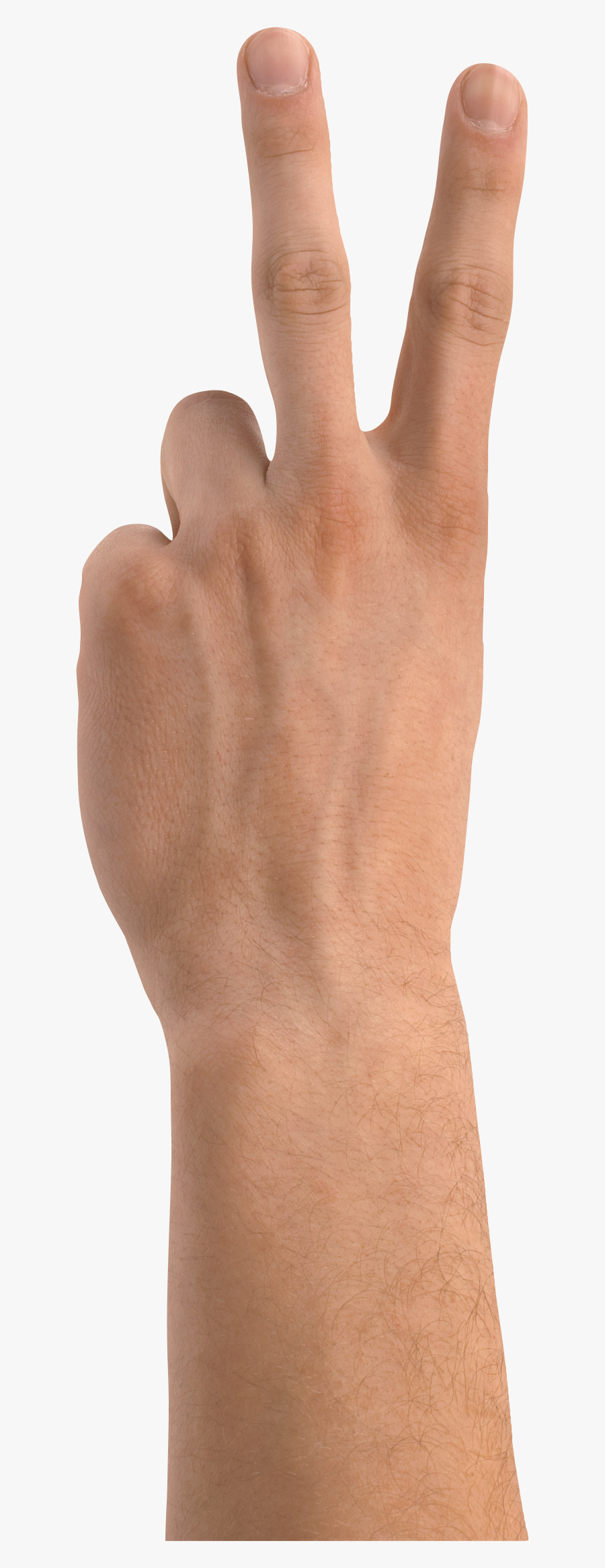 Transparent Hand Clipart Png - Hand Two Fingers Png, Transparent Clipart